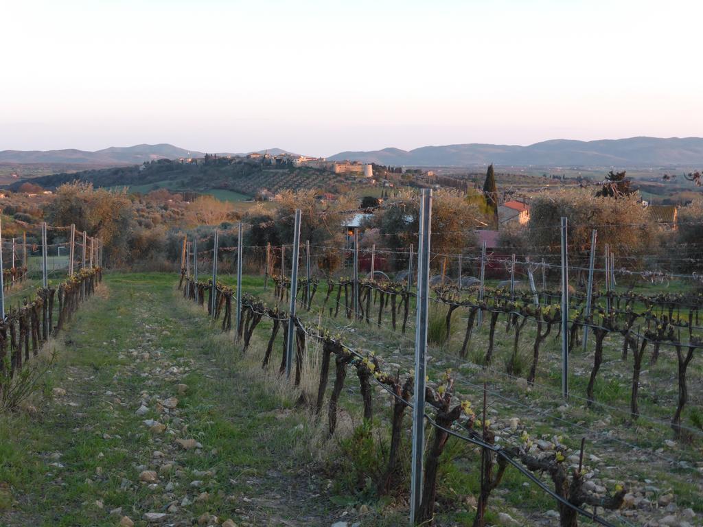 Villa Campospillo Magliano in Toscana Exterior foto