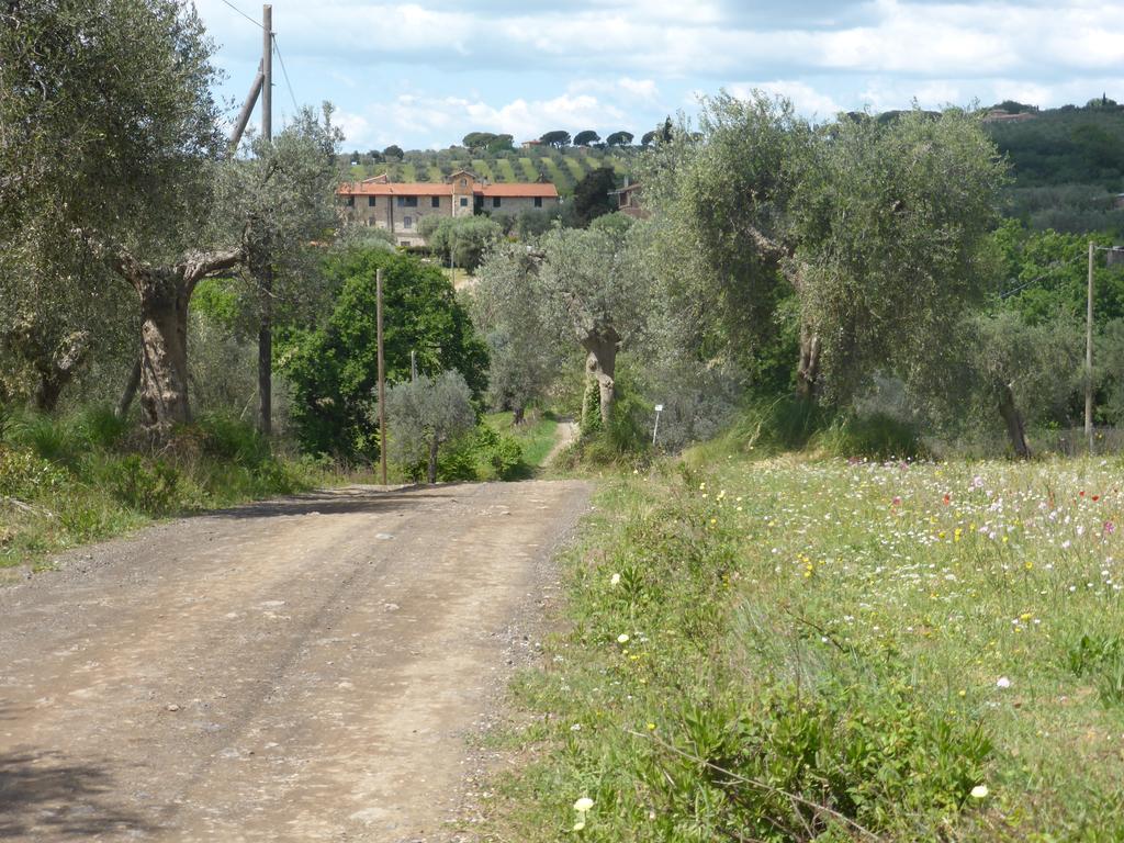 Villa Campospillo Magliano in Toscana Exterior foto