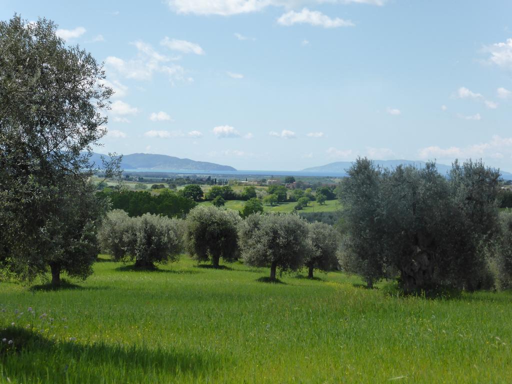 Villa Campospillo Magliano in Toscana Exterior foto