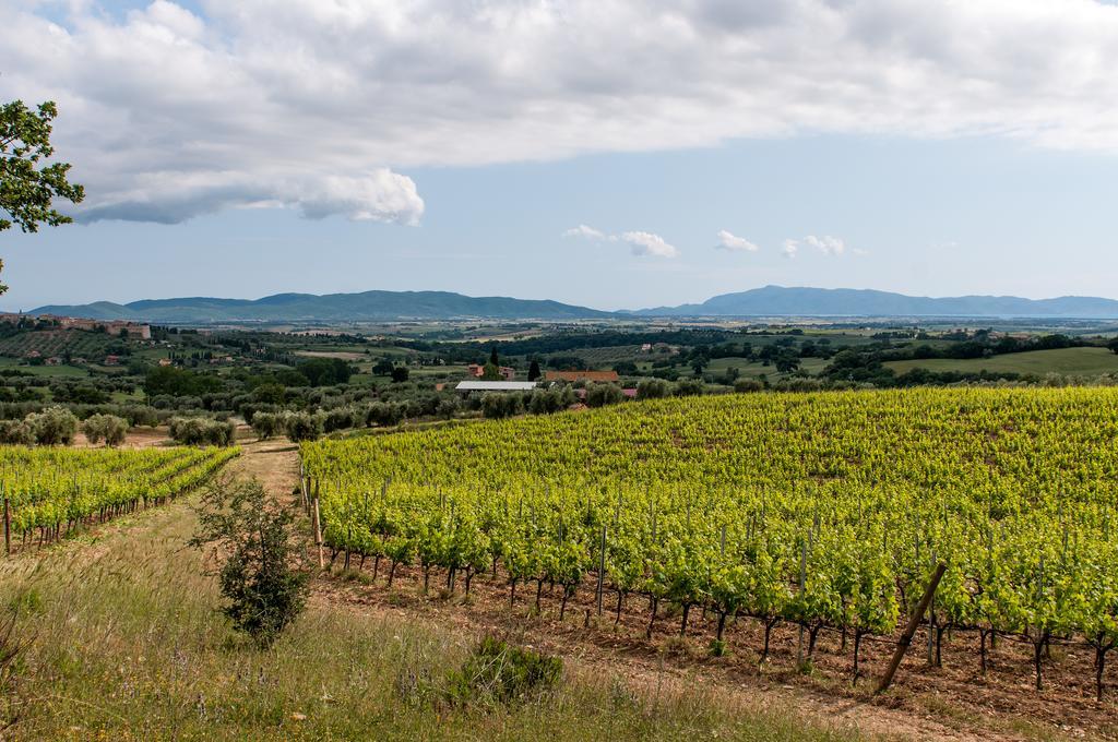 Villa Campospillo Magliano in Toscana Exterior foto