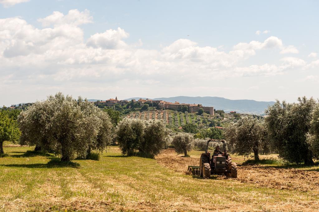 Villa Campospillo Magliano in Toscana Exterior foto