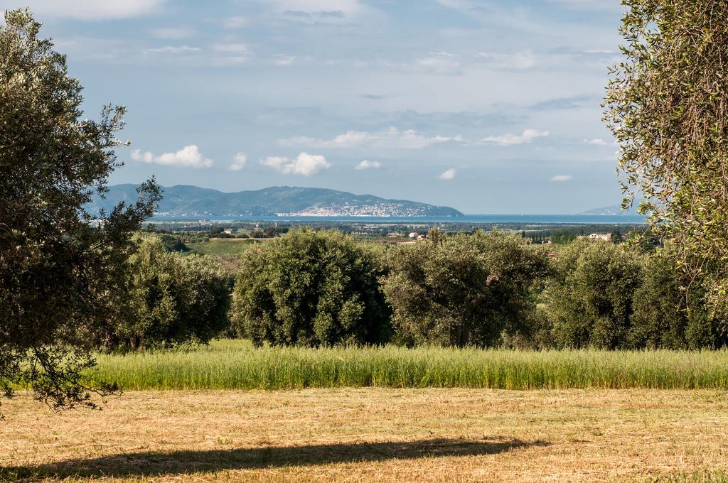 Villa Campospillo Magliano in Toscana Exterior foto